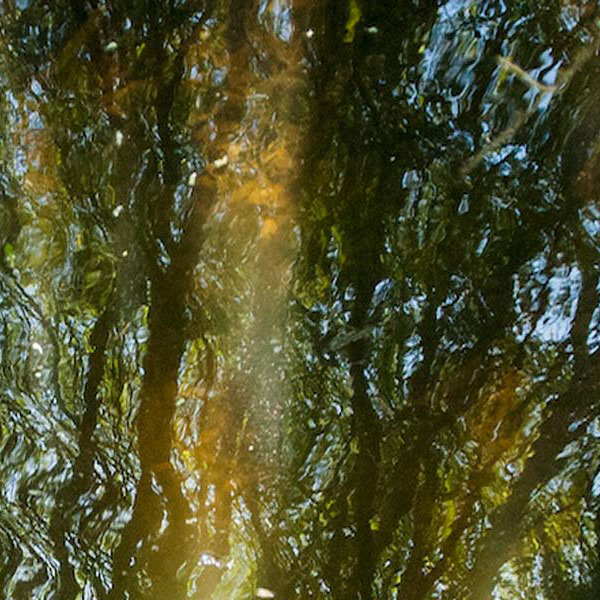 E-Books in weiteren Sprachen